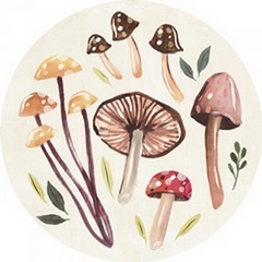 Fungi Field Trip Collection C