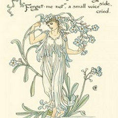 Shakespeare's Garden VII (Forget me not)