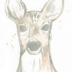Deer Cameo II