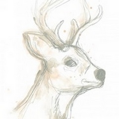 Deer Cameo IV