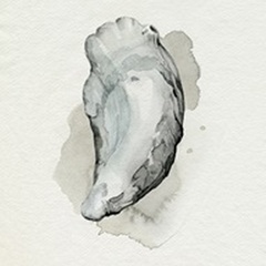 Oysters on the Bay II