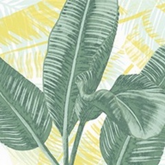 Illustrated Palms II