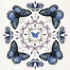 Butterfly Mandala II