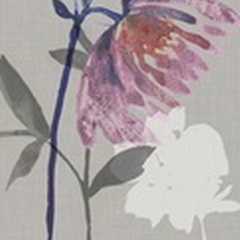 Violette Fleur Collection B