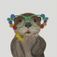 Otter and Flower Glasses