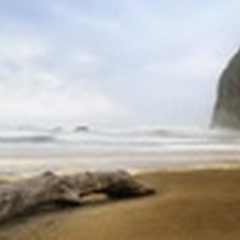 From Cannon Beach II