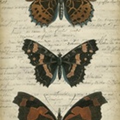 Butterfly Script II