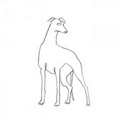 Greyhound Pencil Sketch I