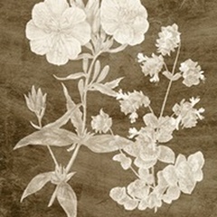 Botanical in Taupe II