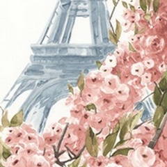 Paris Cherry Blossoms II