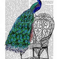 Peacock on Chair