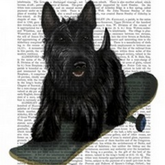 Scottish Terrier and Skateboard