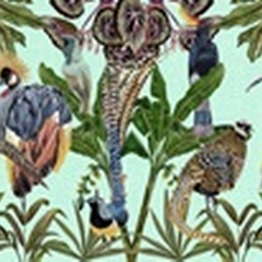 Birds Paradise Collection D