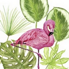 Tropical Flamingo II