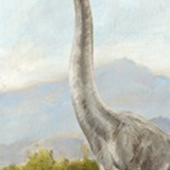 Dinosaur Illustration Collection B