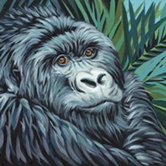 Jungle Monkey II
