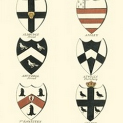 Coat of Arms IV