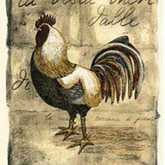 Tuscany Rooster II (MP)