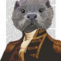 Captain Otter