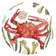 Crab Cameo Collection C