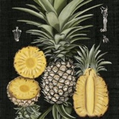Graphic Pineapple Botanical Study I