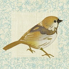 Graphic Bird Collection c