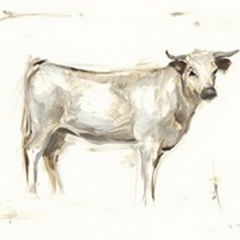 White Cattle I