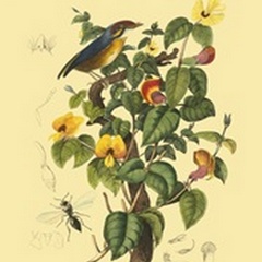 Bird in Nature II