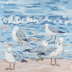 Seagull Birds II