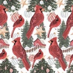 Winter Cardinal Collection E