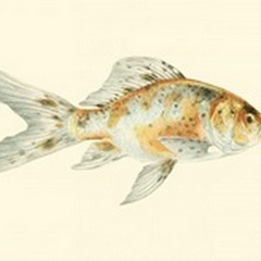 Speckled Goldfish