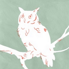 White Owl II