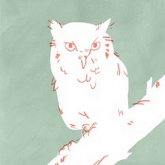 White Owl I