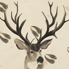 Watercolor Animals Collection A