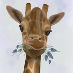 Chewing Giraffe 2