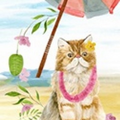 Summer Purr Party Collection B
