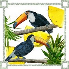 Toucan Tropical Collection A