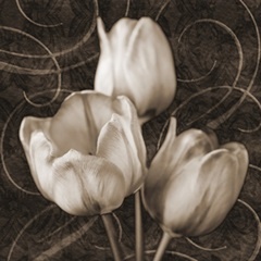 Tulip and Swirls II