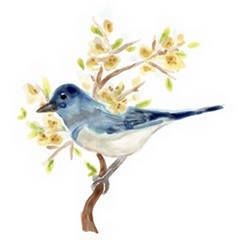 Springtime Songbirds IV