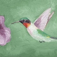 Fresco Hummingbird II