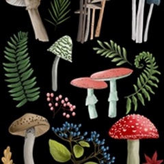 Natural Mushroom Beauties I
