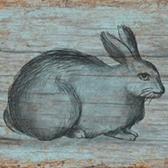 A Rustic Rabbit I