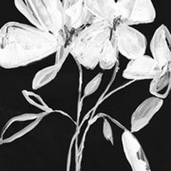 White Whimsical Flowers I