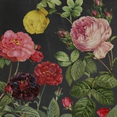 Redoute's Bouquet II