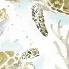 Watercolor Sea Turtle Study Collection B