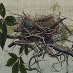 Nesting I
