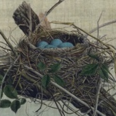 Nesting II