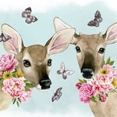 Deer Spring Collection A