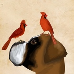 Boxer and Red Cardinals