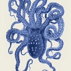Blue Octopus on Cream a